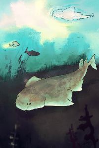 angel shark